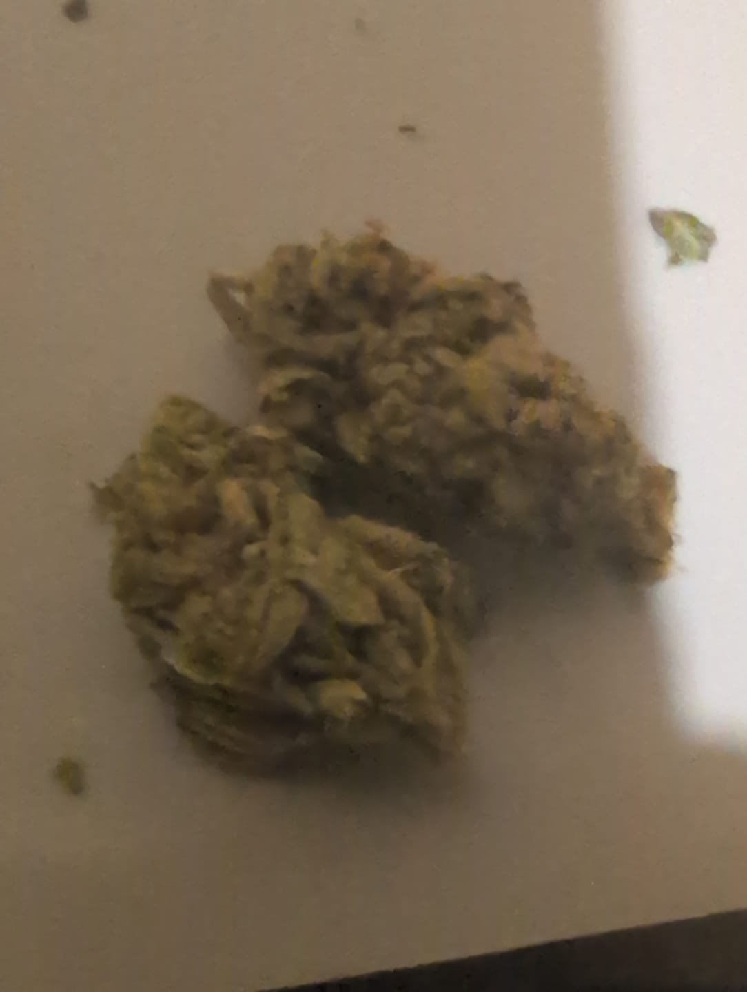 Customer photo review of Watermelon Runtz - Bulk - Indica