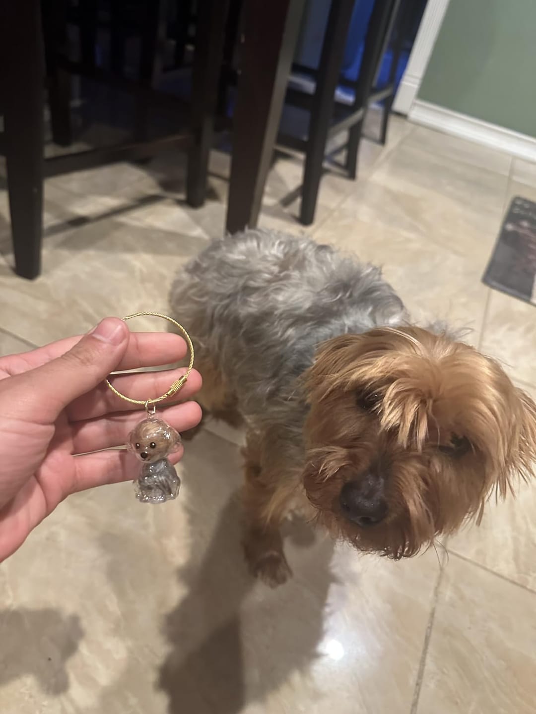 Customer photo review of PetKin — Llavero Recuerdo