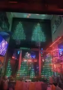 Customer photo review of Smart Christmas Lights