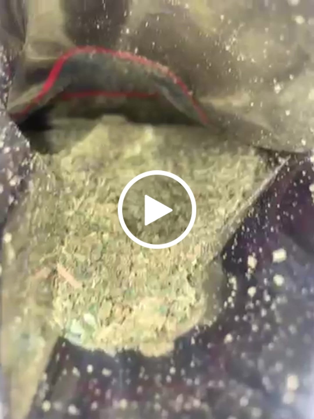 Customer video review of Shake 28G Bundle (4OZ Total)