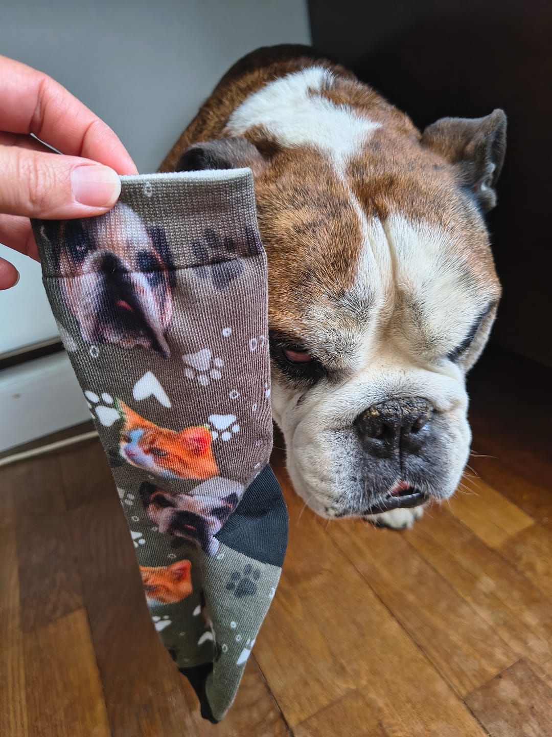 Customer photo review of Votre photo - Chaussettes personnalisées