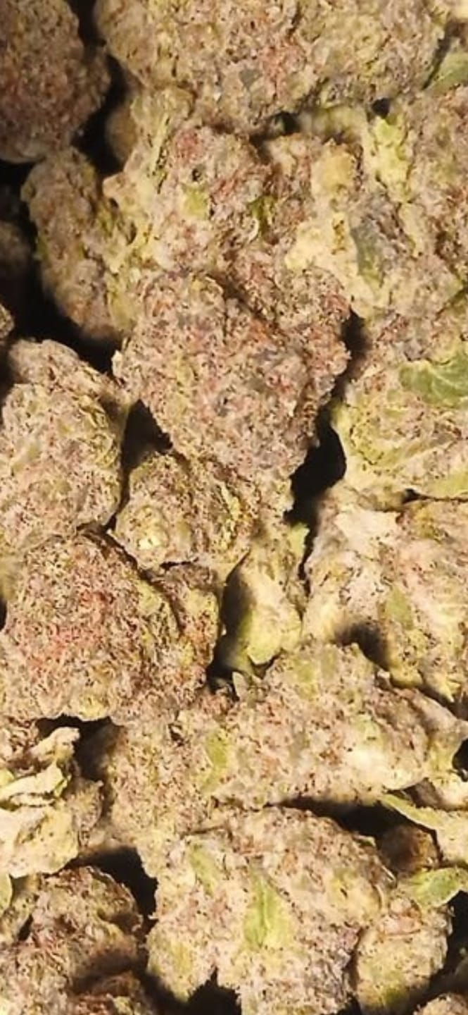 Customer photo review of Bulk Indoor THCA Smalls