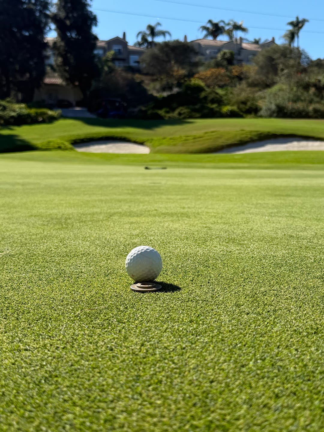 Customer photo review of Rotor Golf Ball Marker - Brass edition