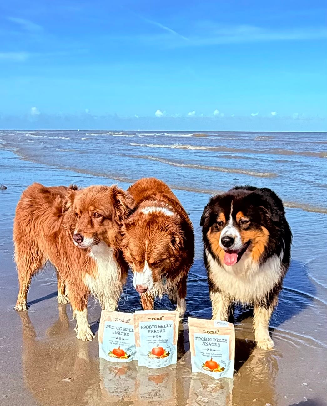 Customer photo review of Probio Belly Snacks für Hunde