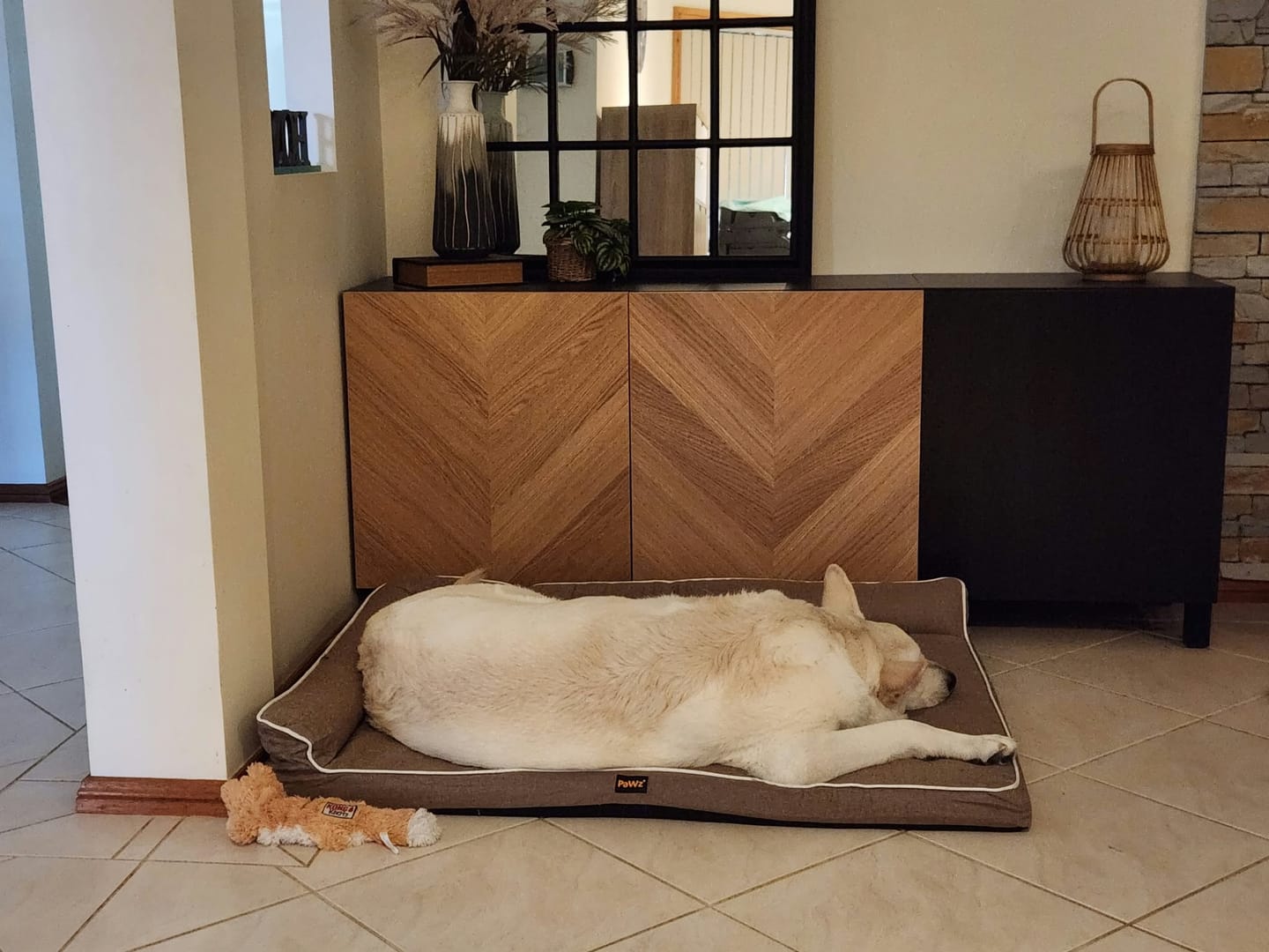 Customer photo review of Orthopedic Pet Bed Memory Foam With Cooling Gel