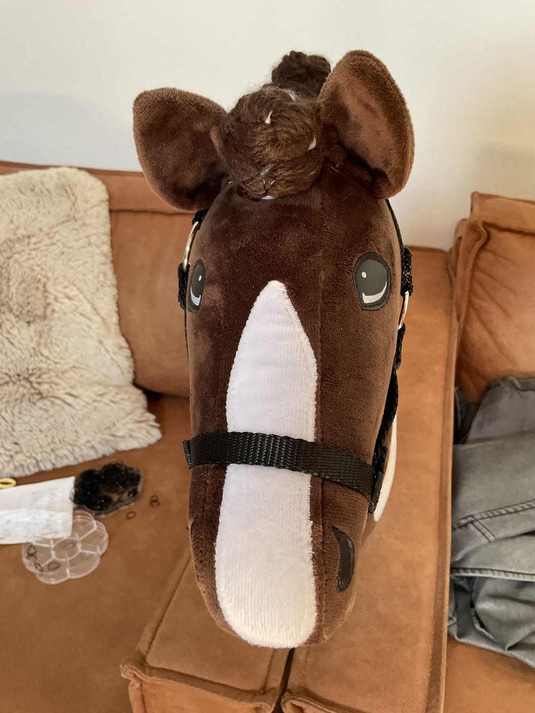 Customer photo review of Hobby Horse Monte with Black Halter