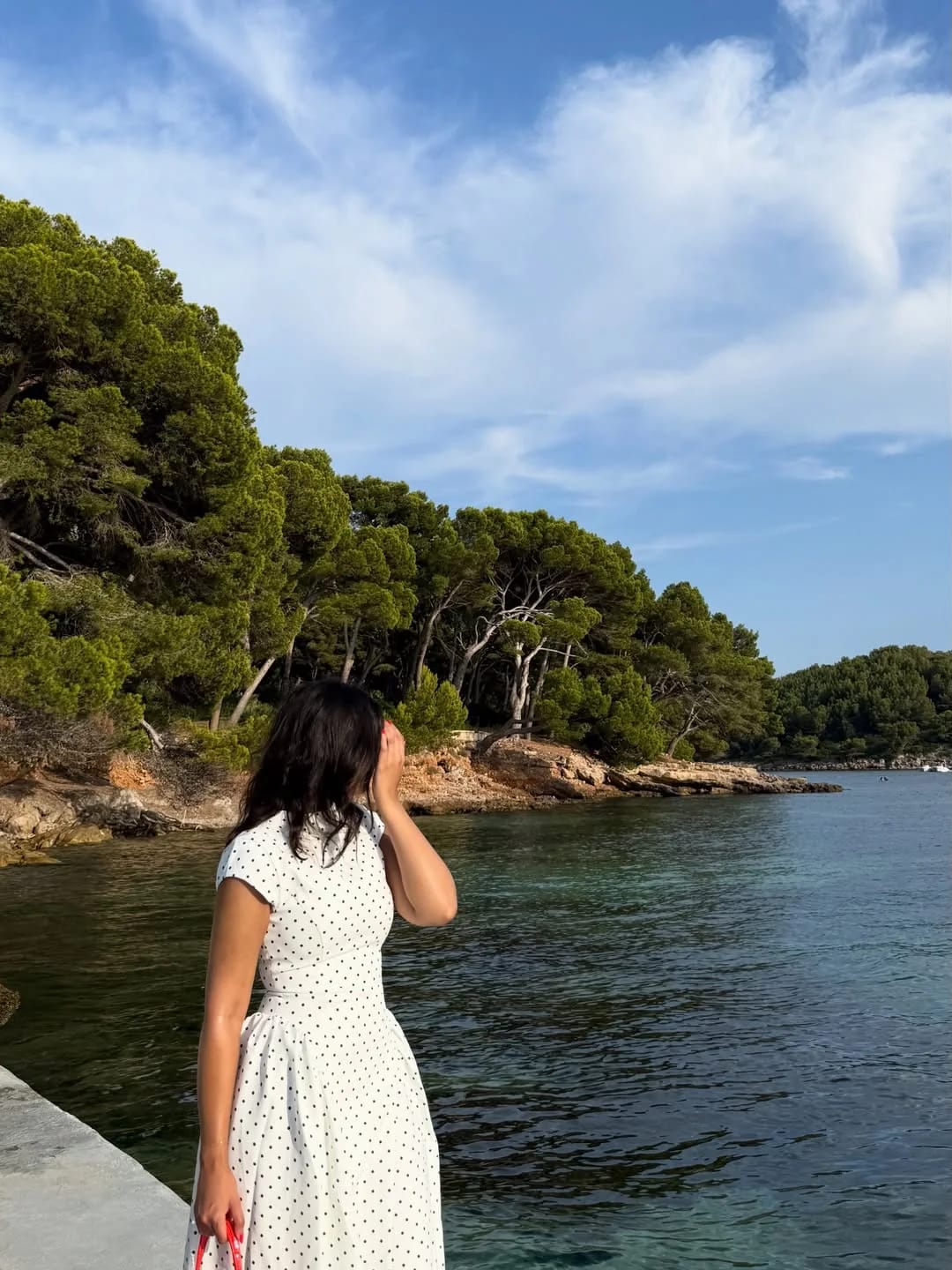 Customer photo review of Retro Polka Dot A-Line Short Sleeve Dress