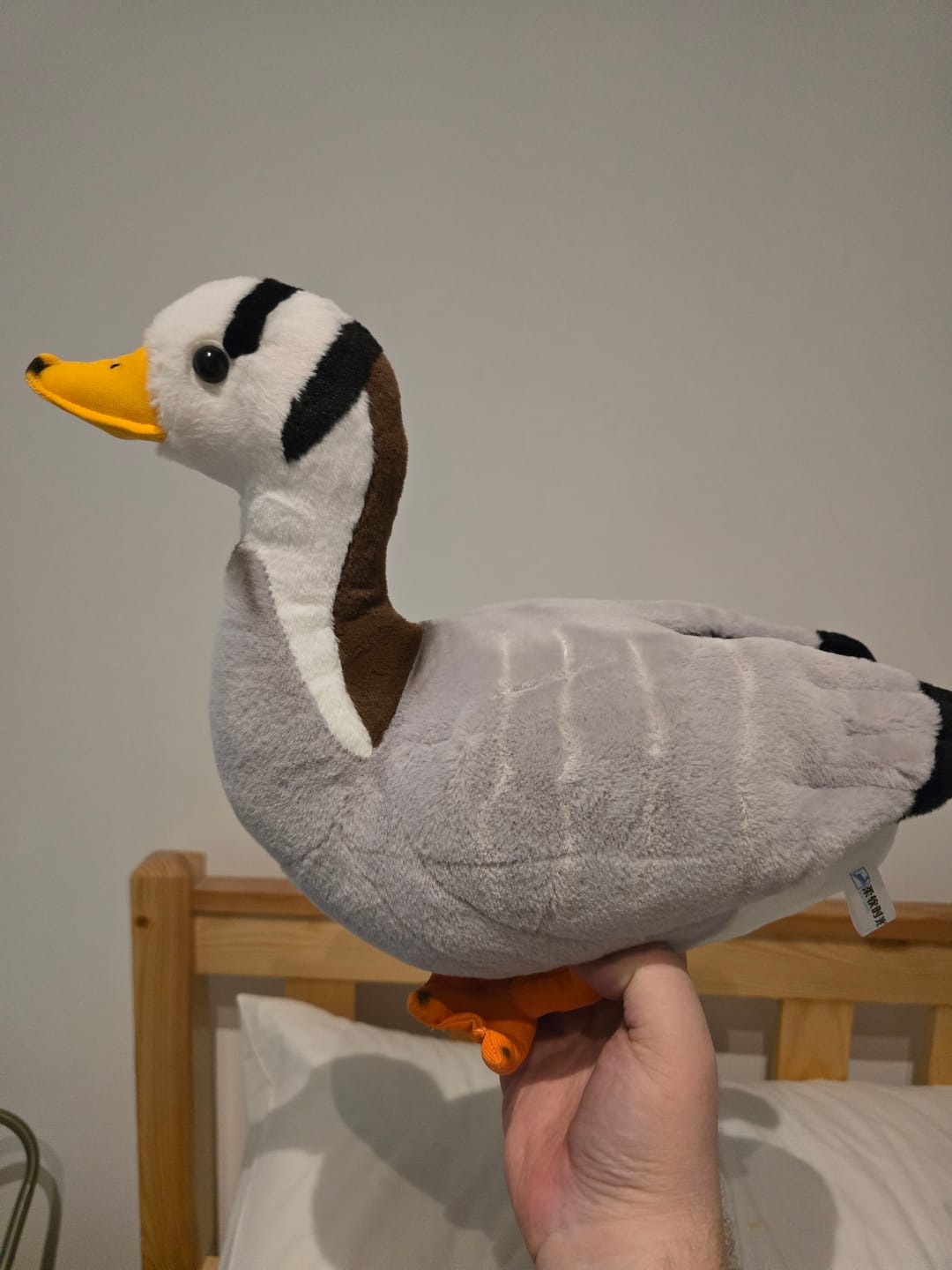 Customer photo review of Bar-headed Goose Soft Stuffed Plush Toy