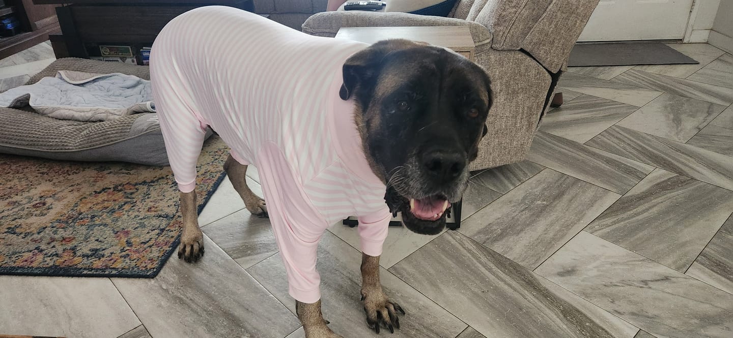 Customer photo review of Dog Pajama - Pink Stripes