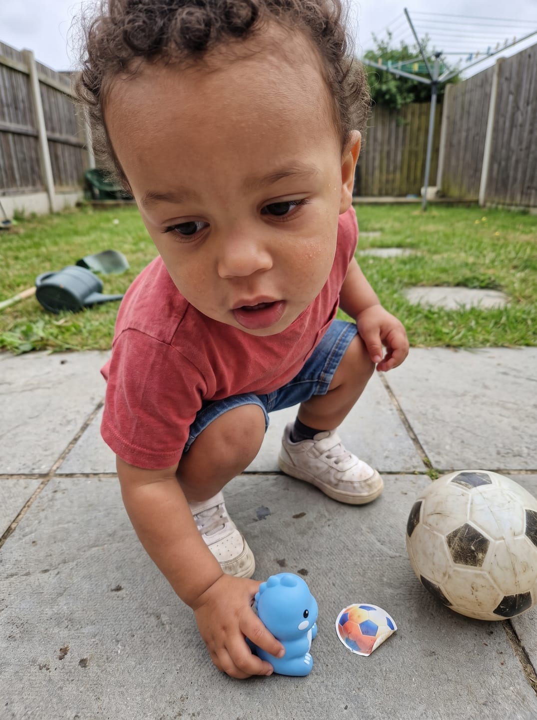 Customer photo review of Talking Dino - Educative Toy