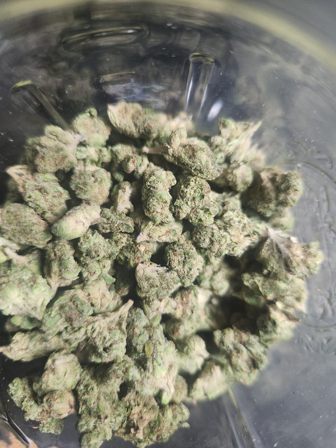 Customer photo review of Bulk THCA Micros