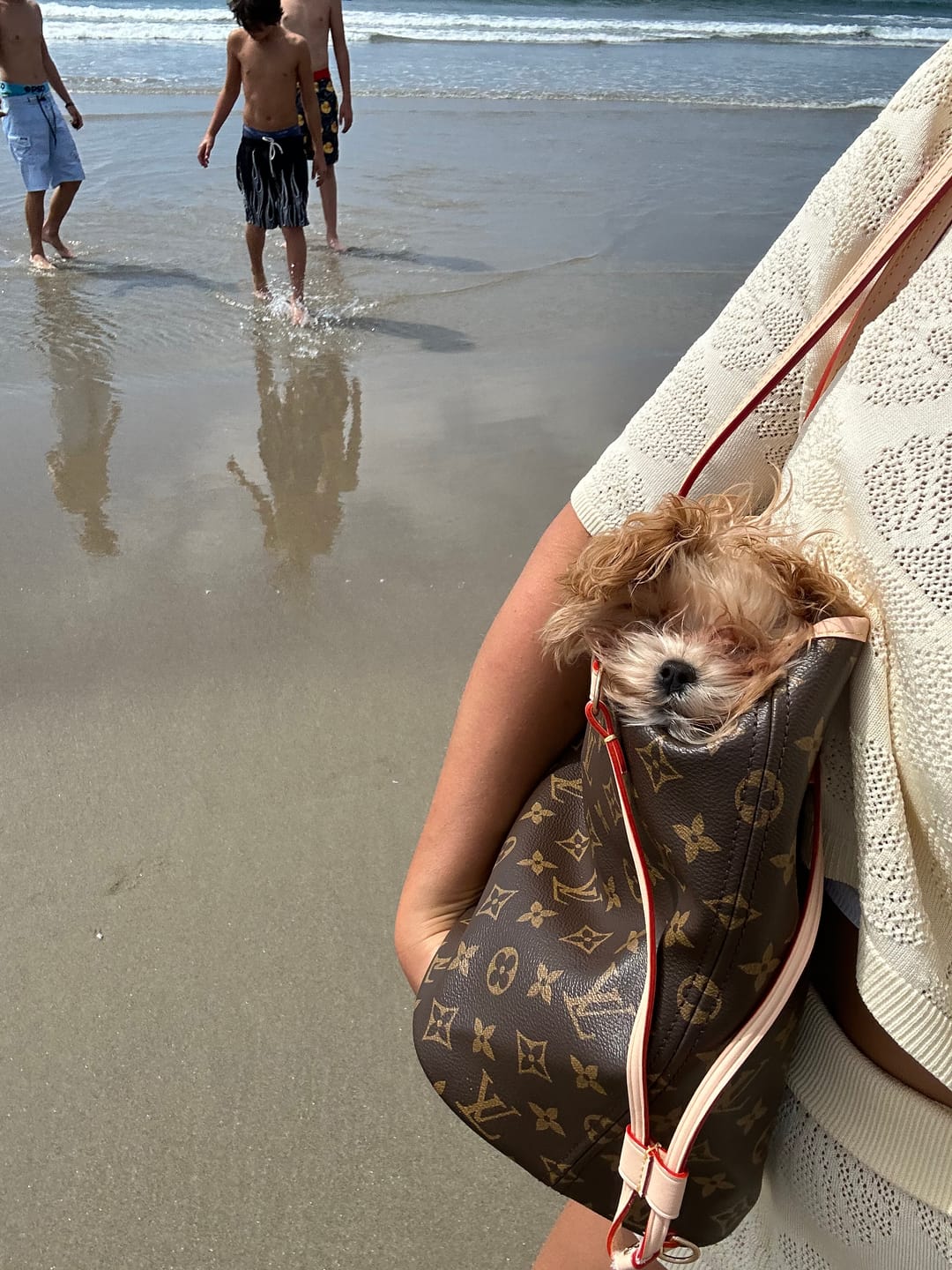 Customer photo review of CUSTOM LV NEVERWOOF PET BAG