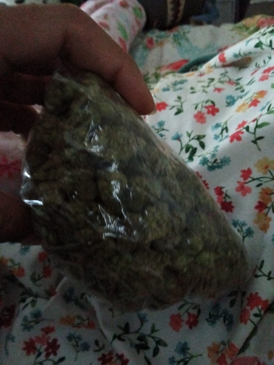 Customer photo review of Bulk THCA Smalls