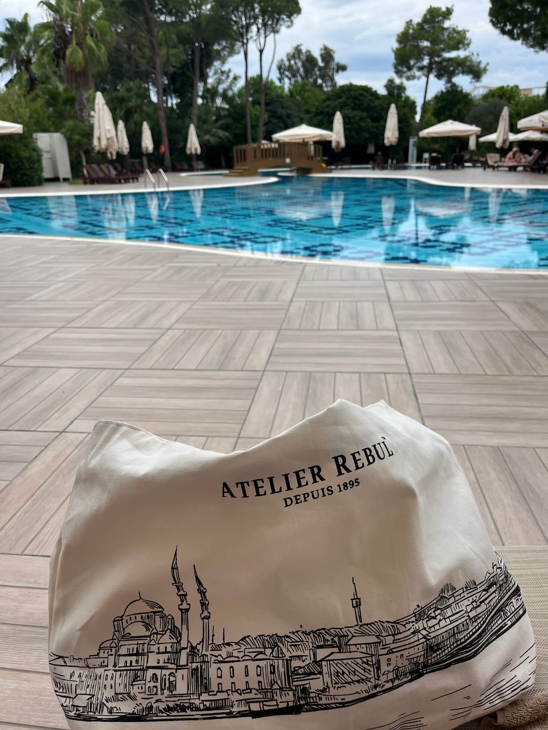 Customer photo review of Luxe Summer Bag
