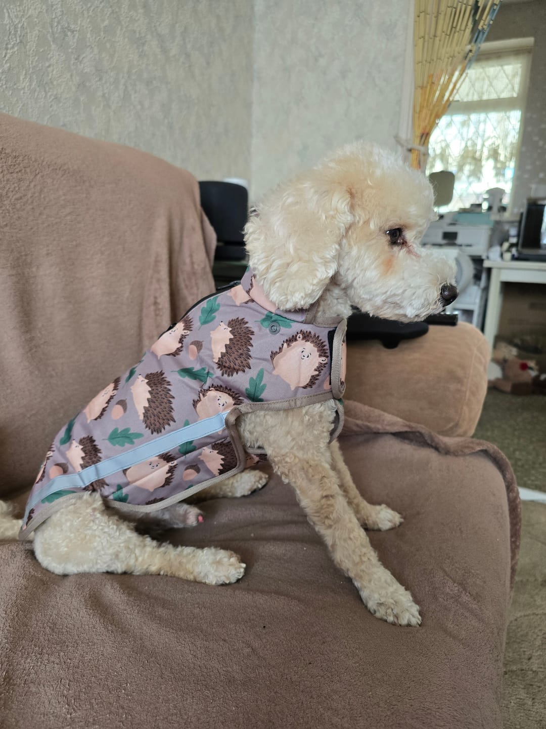 Customer photo review of Rain Jacket - In A Prickle