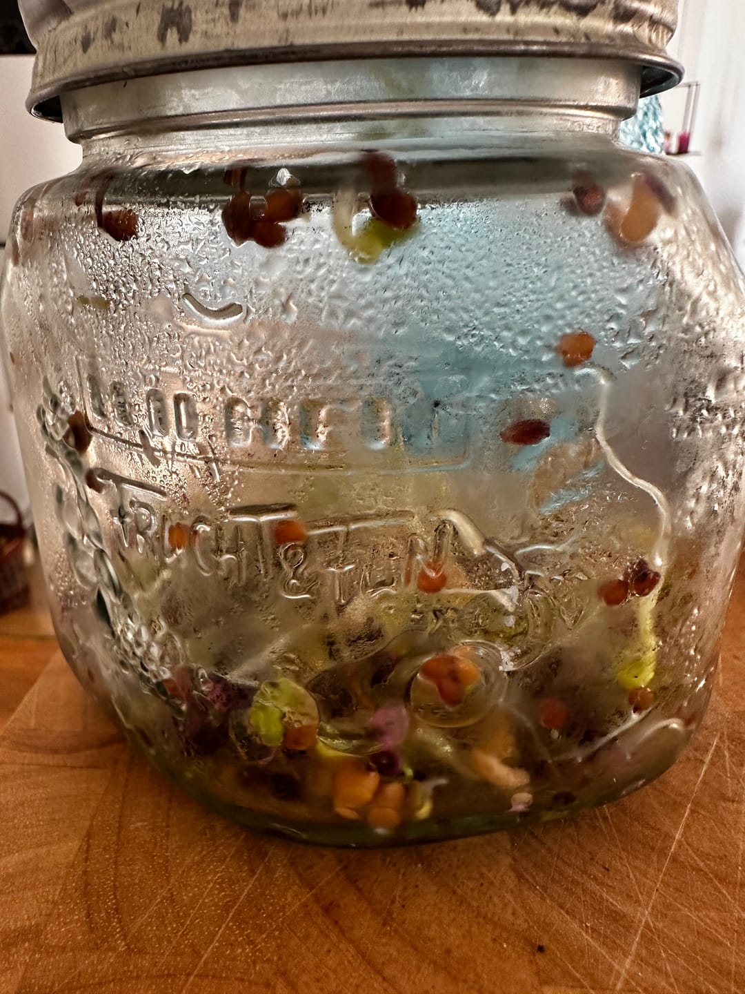 Customer photo review of Sprossenmix ‘Salat‘