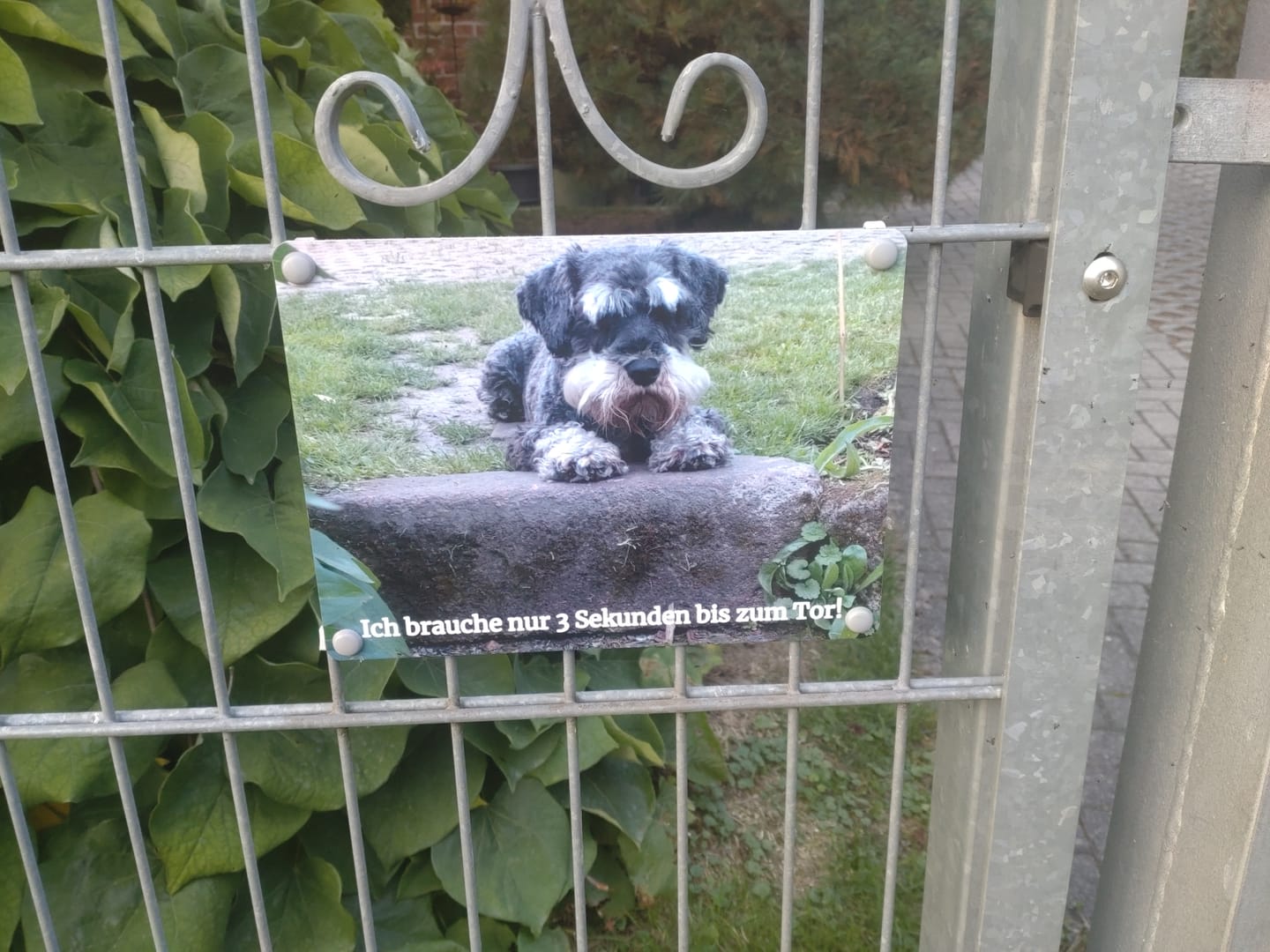 Customer photo review of Hunde-Türschild personalisiert mit Foto & Text (UV- und wetterfest)