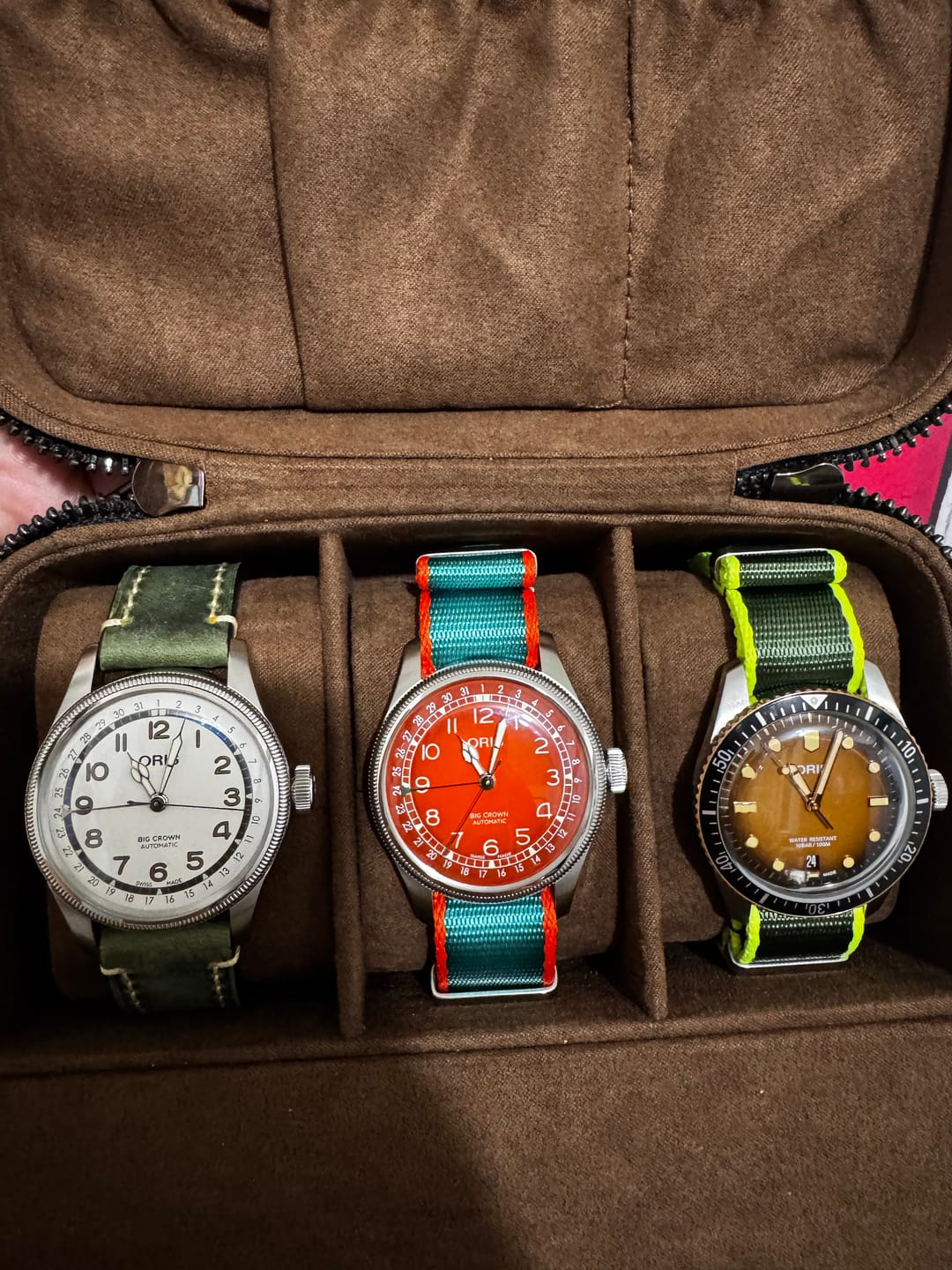 Customer photo review of AlphaShark - Iguana