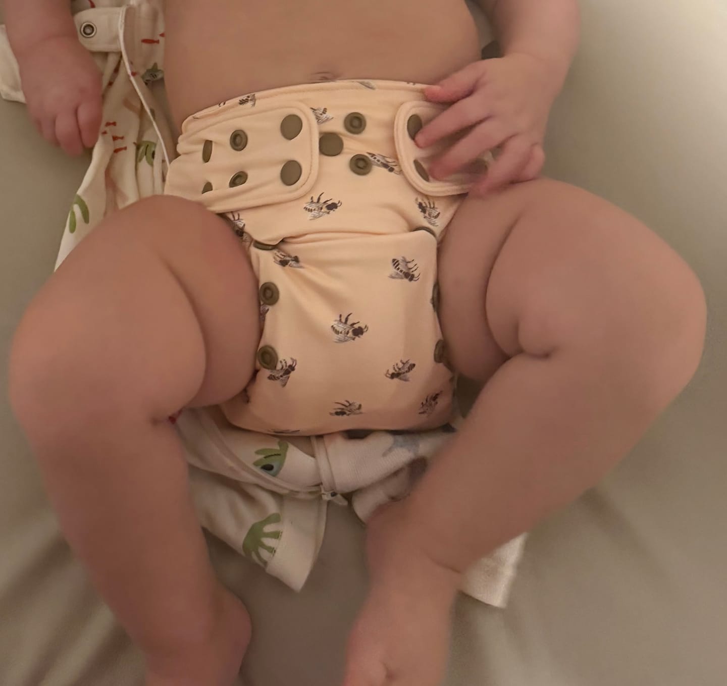 Customer photo review of Renew Premium Heavy Wetter Hybrid One Size Cloth Diaper
