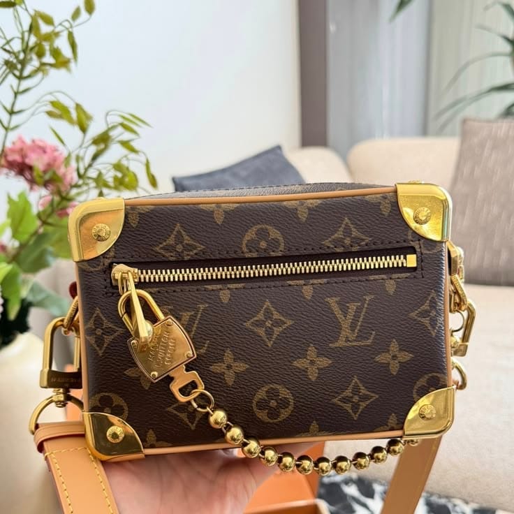 Customer photo review of LV Mini Soft Trunk Bag