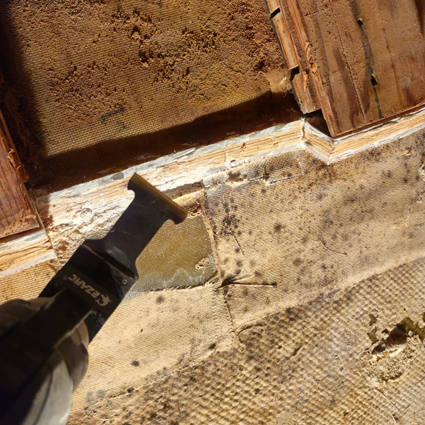 Customer photo review of EZARC Gen 4 Obsidian Carbide Oscillating Saw Blades for Hard Metal, Nails, Bolts, Screws