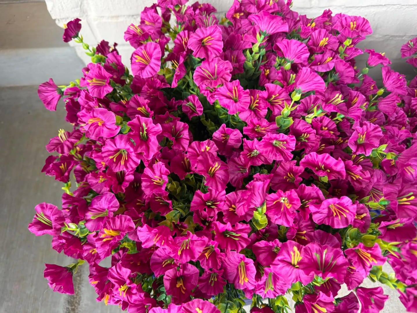 Customer photo review of 🔥 60% OFF Ends Tonight! Lifelike UV-Resistant Petunias 🌸