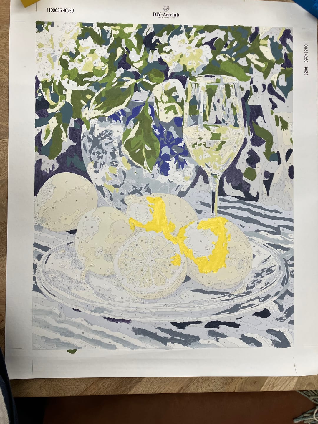 Customer photo review of Lemons and Wine | Paint by Numbers