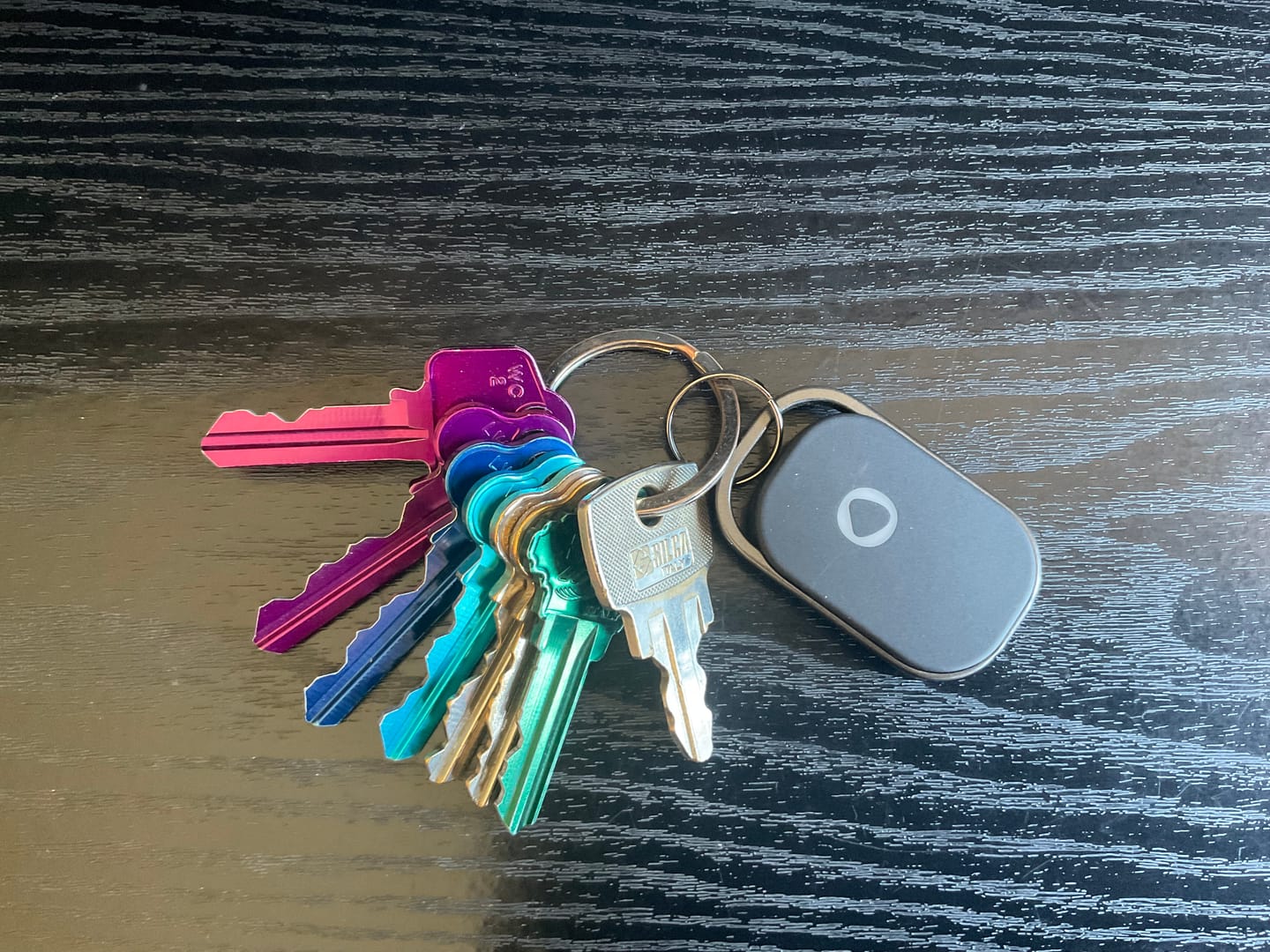 Customer photo review of Rechargeable Smart Tag