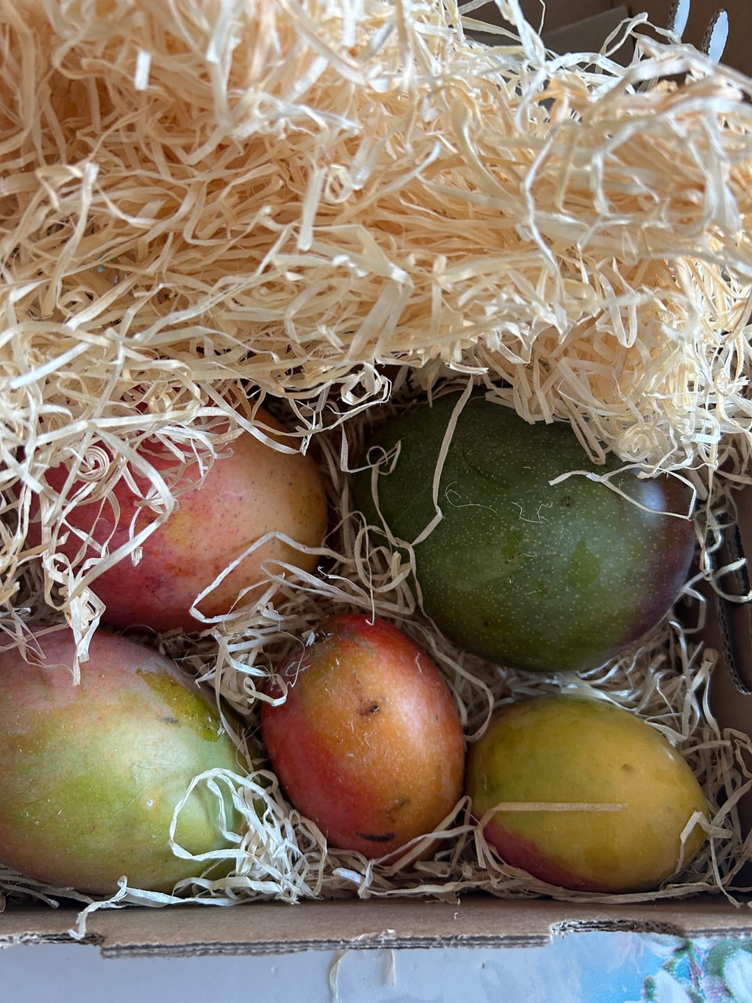 Customer photo review of Mango-Raritäten Mix von Julian Aktionswoche %