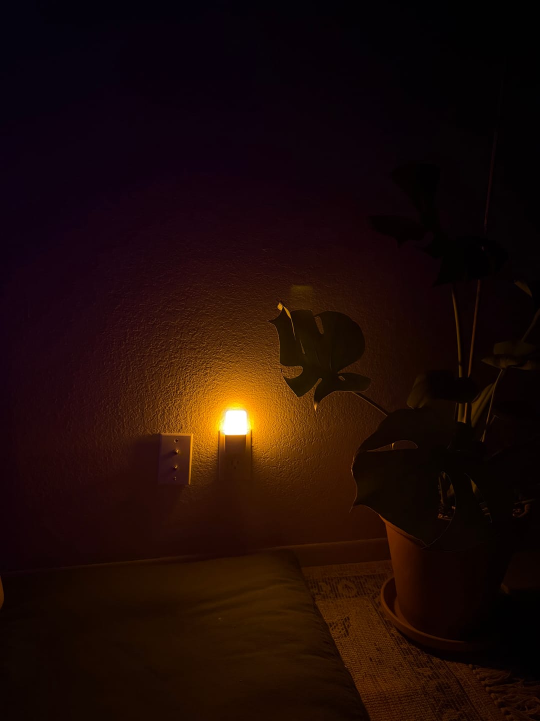 Customer photo review of Circadian Night Light