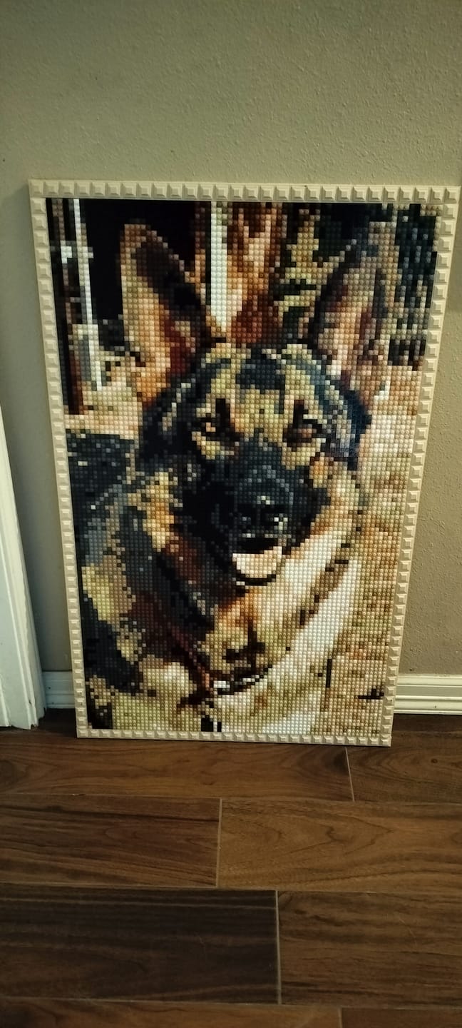 Customer photo review of Custom Design Brick Mosaic - 3x5 baseplates