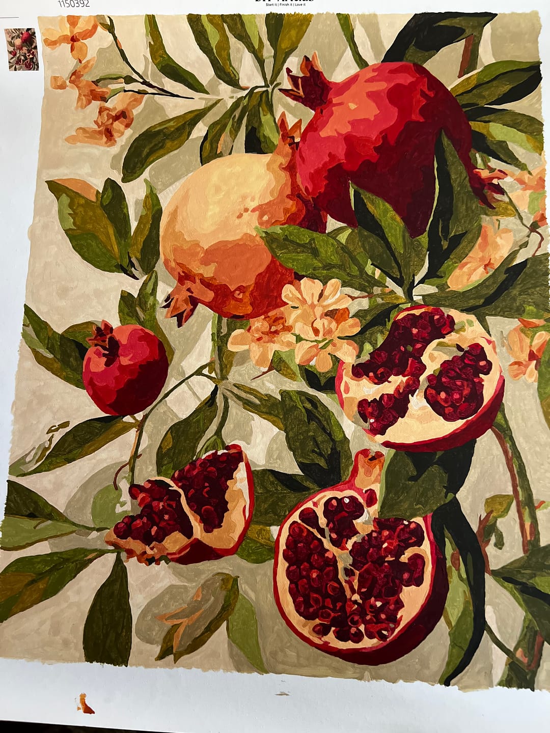 Customer photo review of Blooming pomegranates | Paint by Number