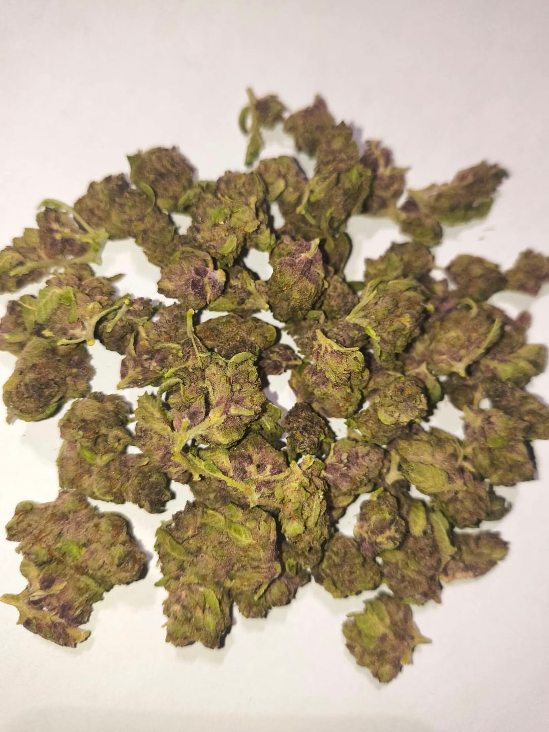 Customer photo review of Khalifa Kush THCA Flower