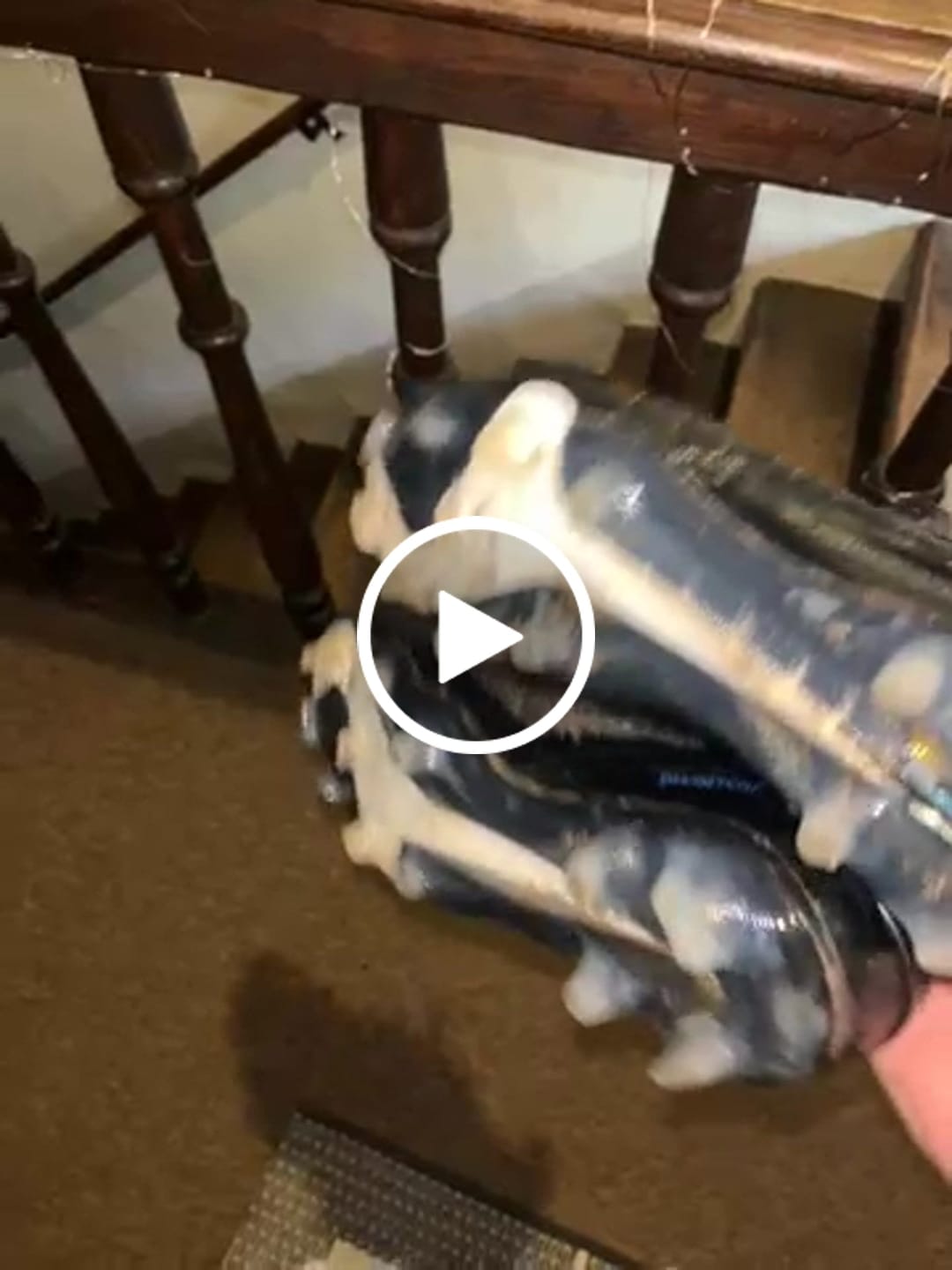 Customer video review of Nike Phantom 6 Full Black FG