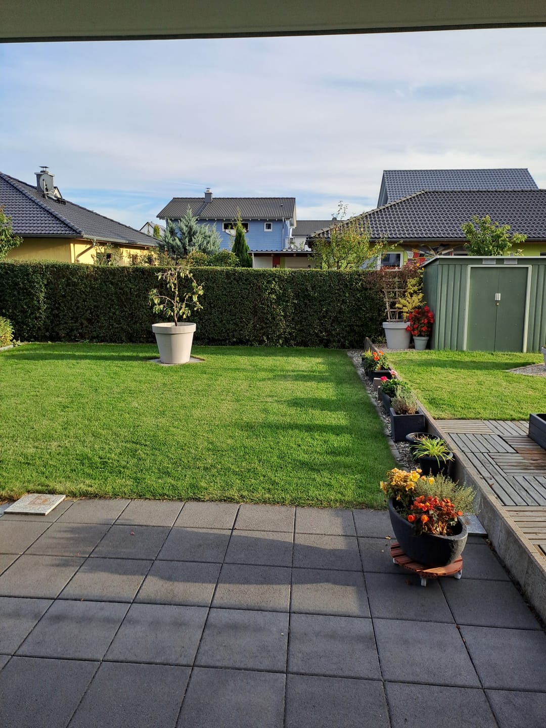 Customer photo review of Animatio® Profi-Rasendünger