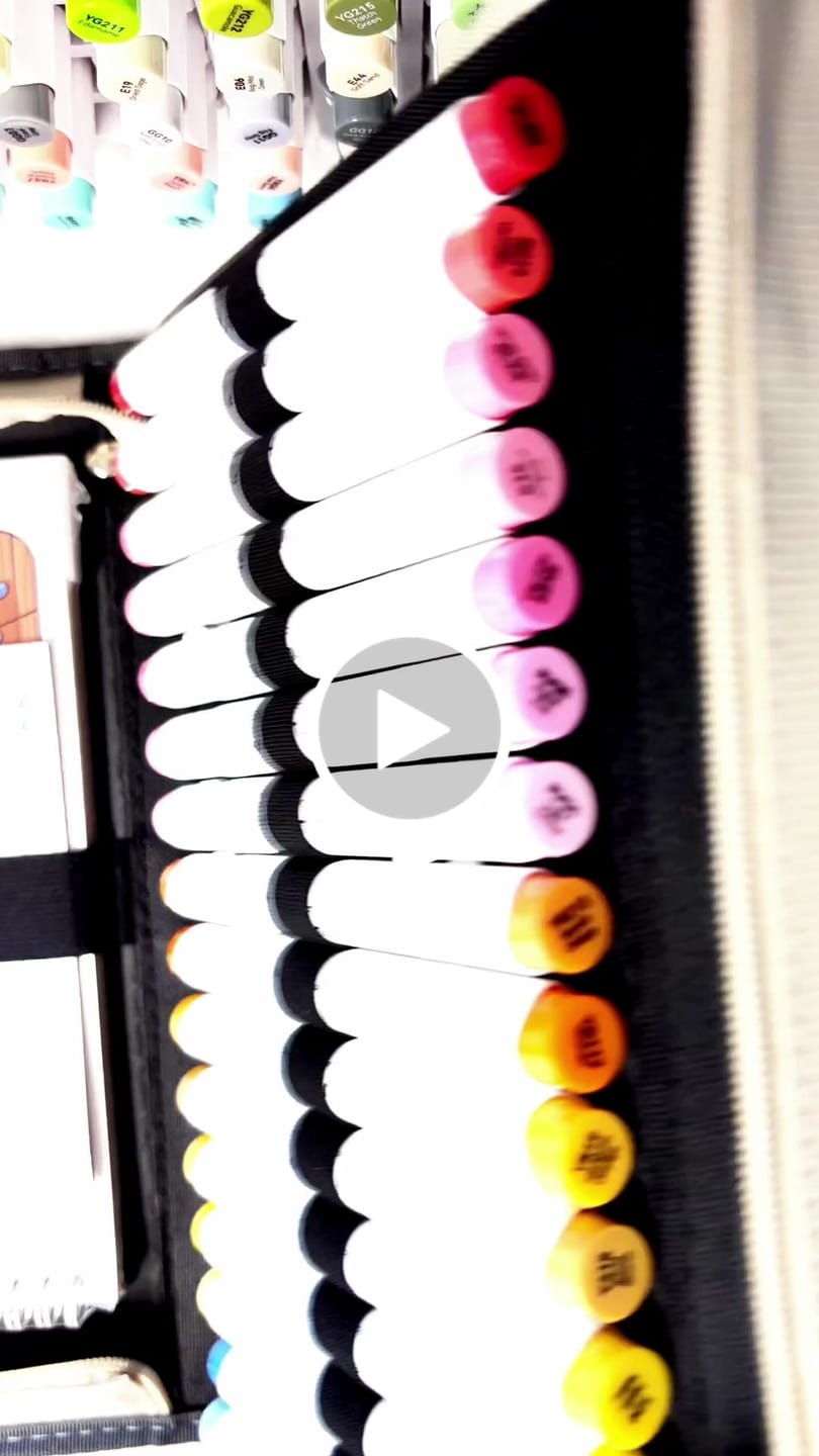 Customer video review of Ohuhu Honolulu B 48 Colors Alcohol Markers with Coloring Book
