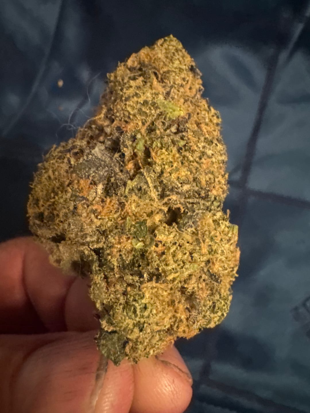 Customer photo review of Biscotti THCA Flower (Premium)