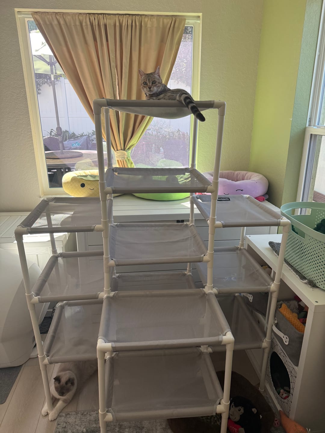 Customer photo review of Durable Cat Tower | Peak