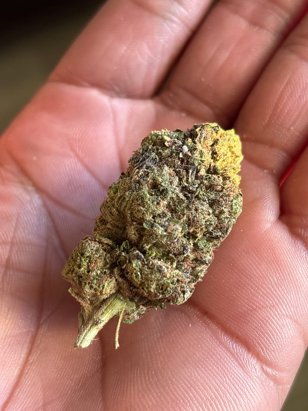 Customer photo review of Puffaroo - Hashburger - 28 Grams - Indica