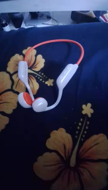 Customer photo review of Auriculares Sumergibles Viewpods