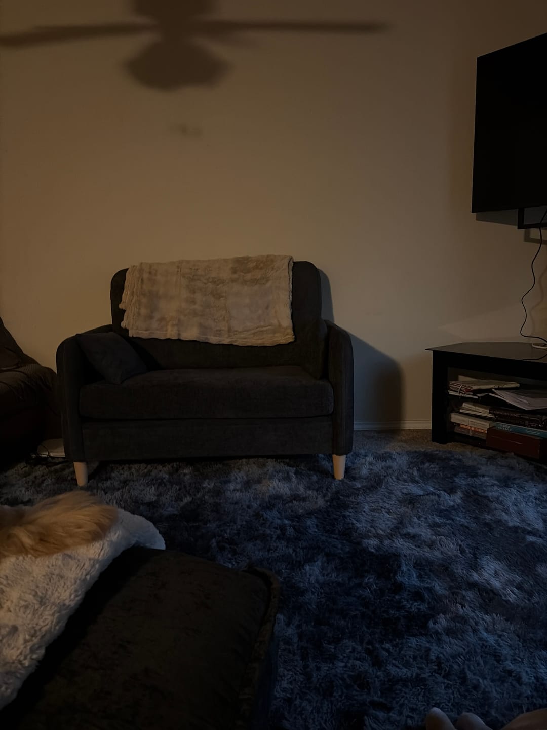 Customer photo review of 47” Small Loveseat Sofa (5 Colors)