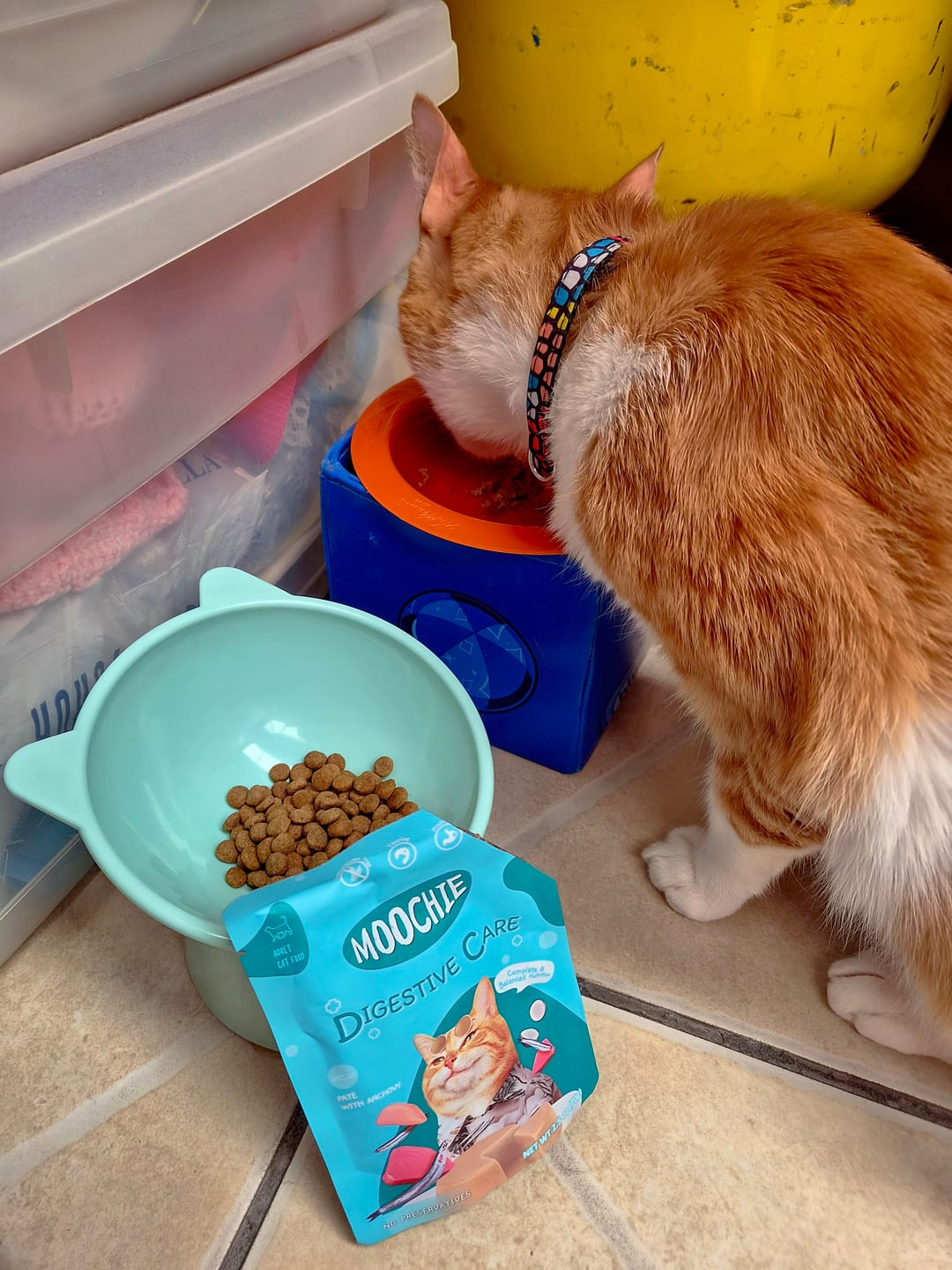 Customer photo review of MOOCHIE SOBRE GATO ANCHOA 70 GRS DIGESTIVE CARE