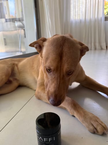 Foto de Patricio E.