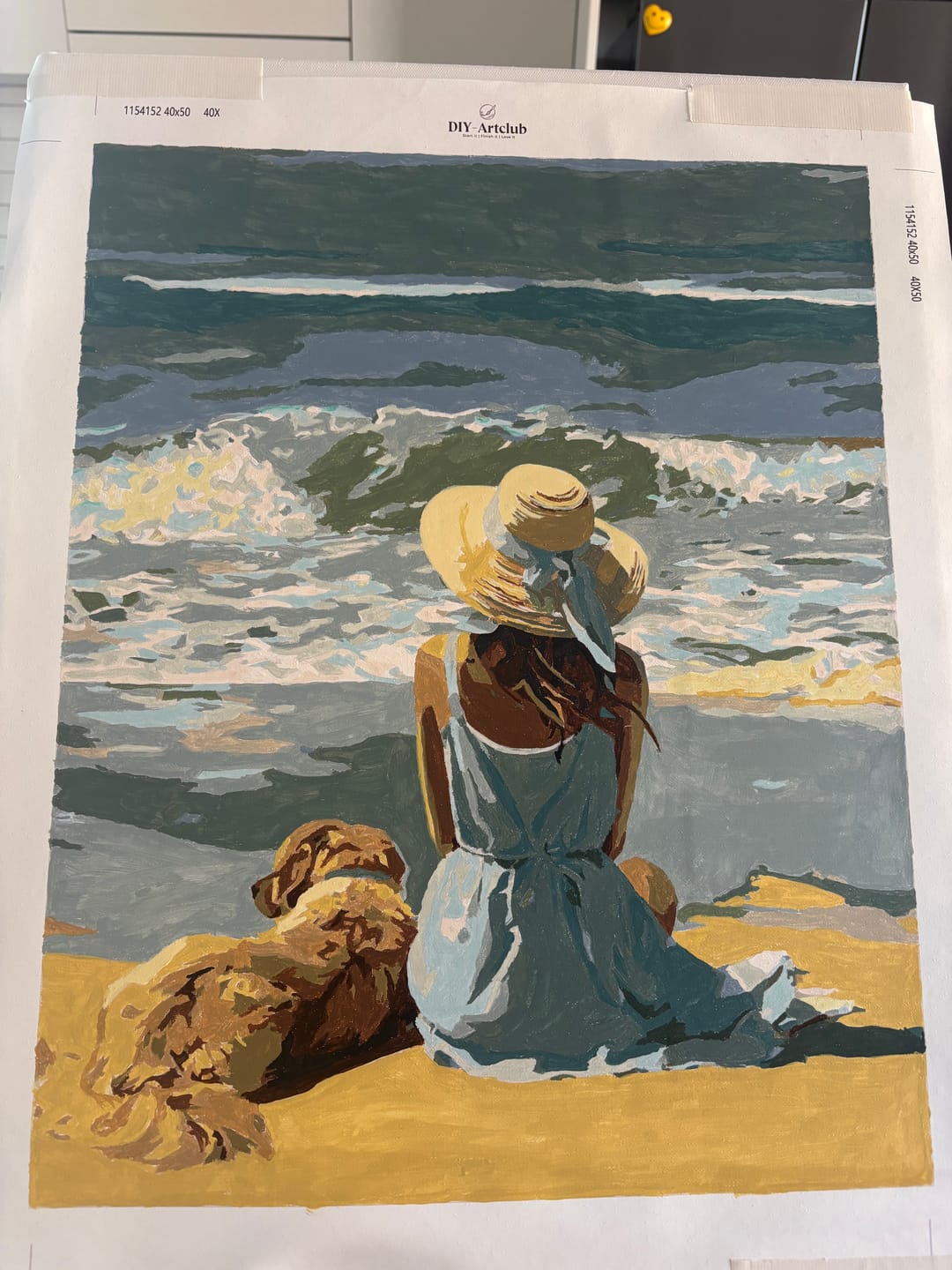 Customer photo review of Waves of Calm | Paint by Number