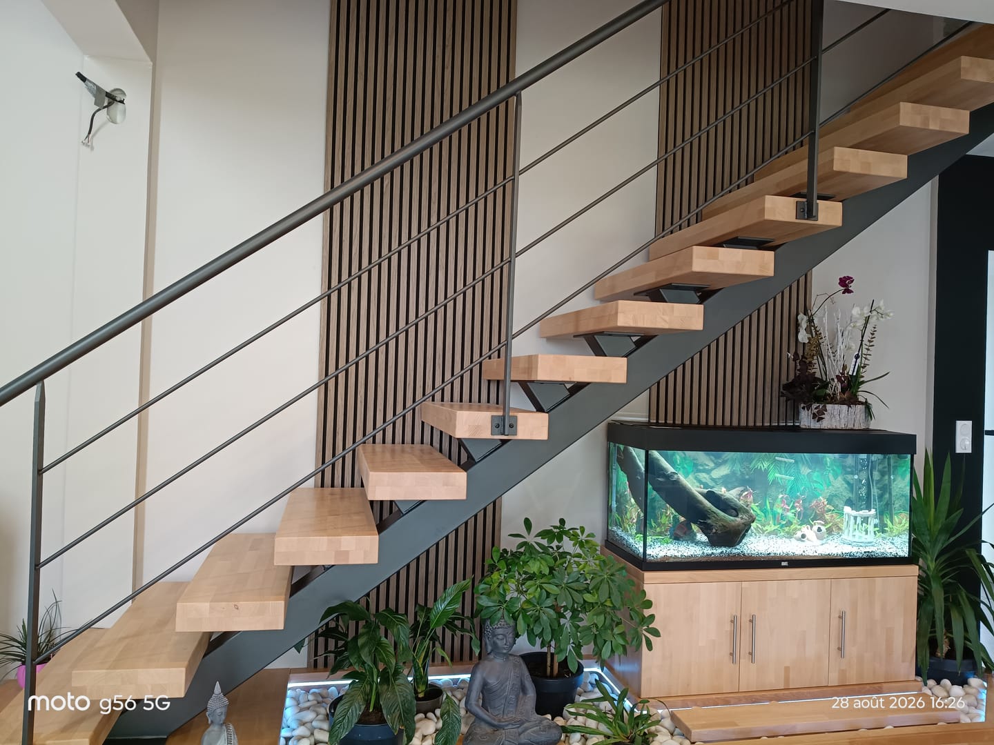 Customer photo review of Aquarium Rio 240 LED Noir Équipé JUWEL - 240L