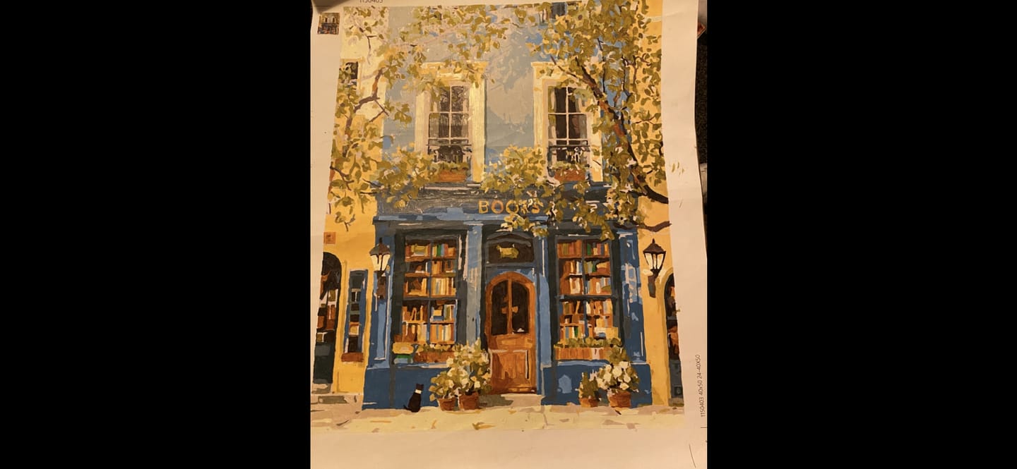Customer photo review of The Blue Bookshop | Paint by Number
