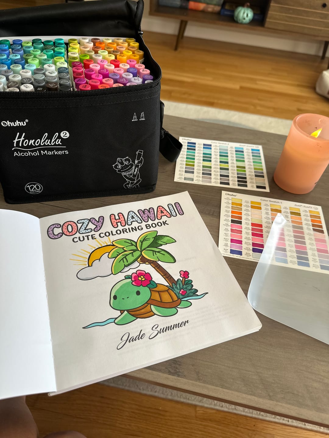 Customer photo review of Ohuhu Honolulu 120 Colors Dual Tips Alcohol Art Markers (New Color Codes)