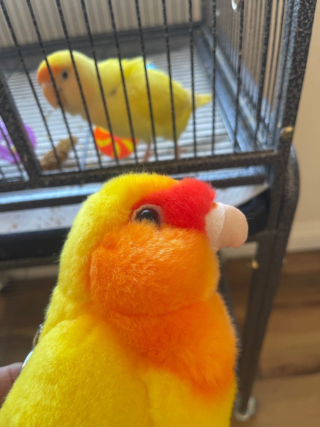Customer photo review of Yellow Lovebird Soft Stuffed Plush Toy