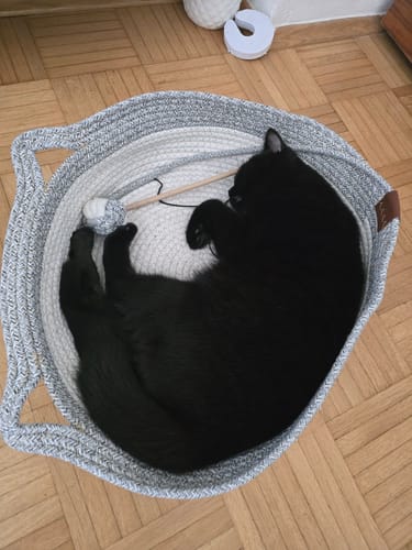 Kunde zeigt Fellnest Katzenkorb in grauer Flechtoptik, in dem eine schwarze Katze schläft.