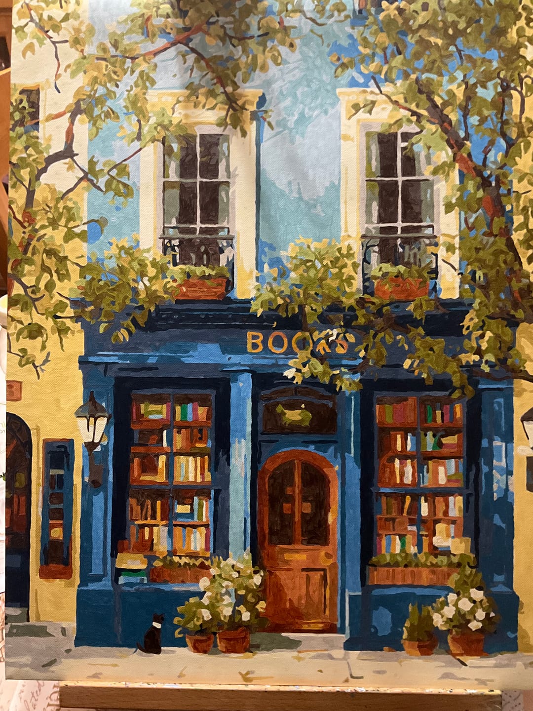 Customer photo review of The Blue Bookshop | Paint by Number